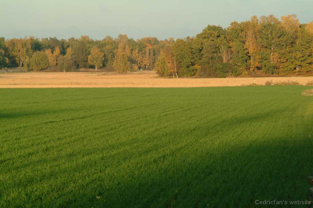 DSCF0643