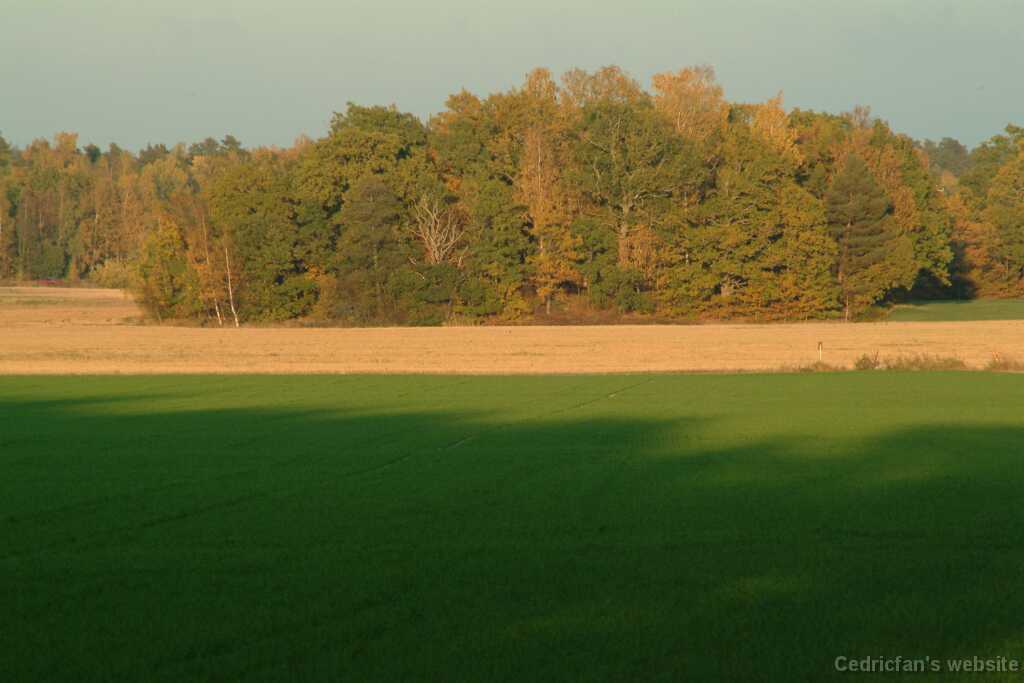 DSCF0646