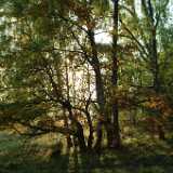 DSCF0608