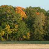 DSCF0609