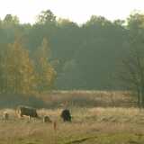 DSCF0610