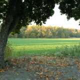 DSCF0641