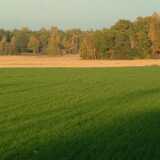 DSCF0643