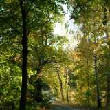 Dscf0603