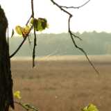 Dscf0615