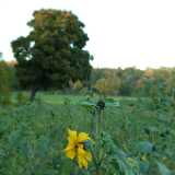 Dscf0628