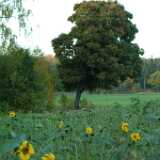 Dscf0630