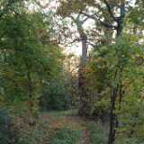 Dscf0645