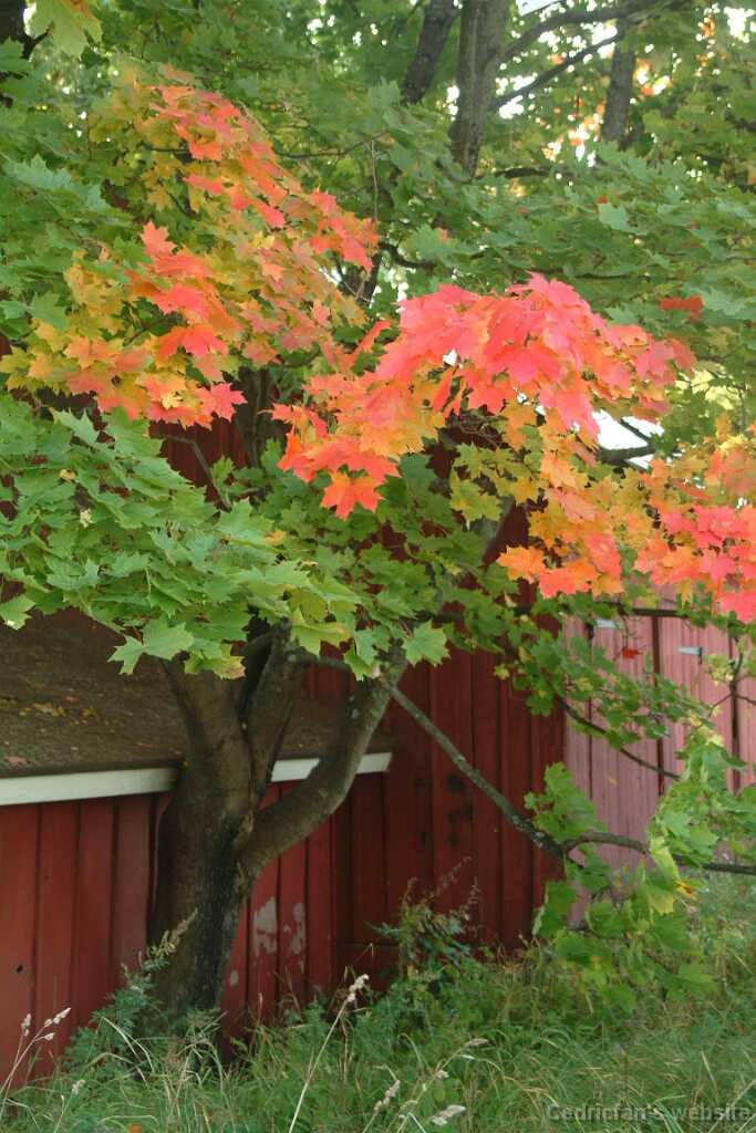 Dscf0314