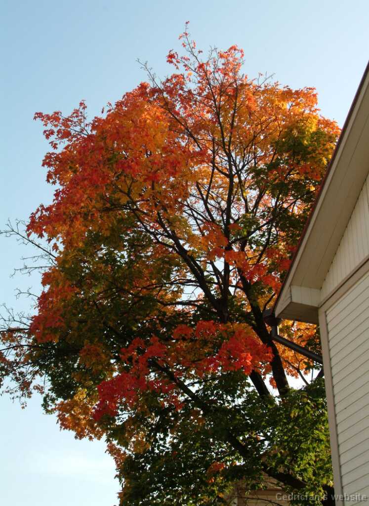 Dscf0340