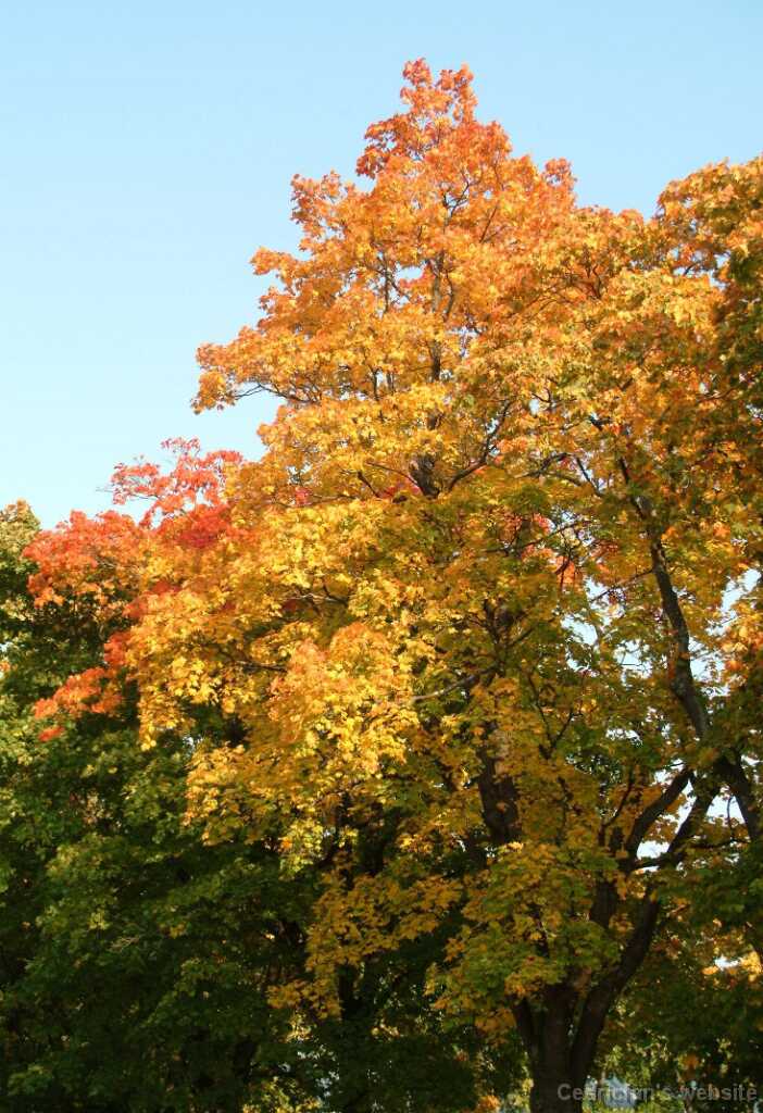 Dscf0341