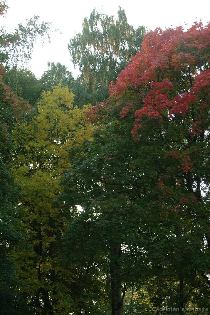 Dscf0343