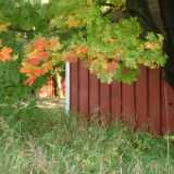 DSCF0311