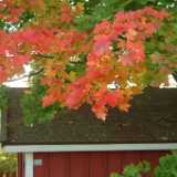 DSCF0313