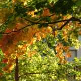 DSCF0315