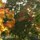 DSCF0317