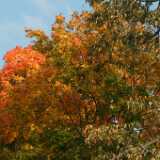 DSCF0320