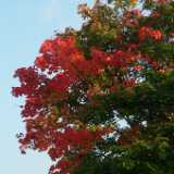 Dscf0308