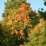 Dscf0322
