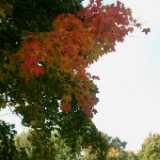 Dscf0323