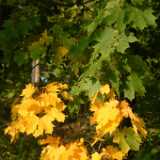 Dscf0326