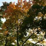 Dscf0331