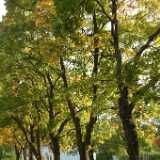 Dscf0332