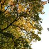 Dscf0333