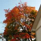 Dscf0340