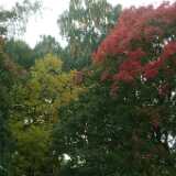 Dscf0343