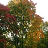 Dscf0344