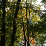 Dscf0345