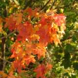 Dscf0349