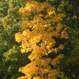 Dscf0354