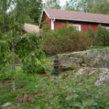 DSCF0283