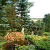 Dscf0280