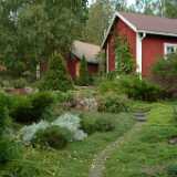 Dscf0284