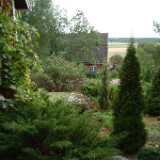 Dscf0287