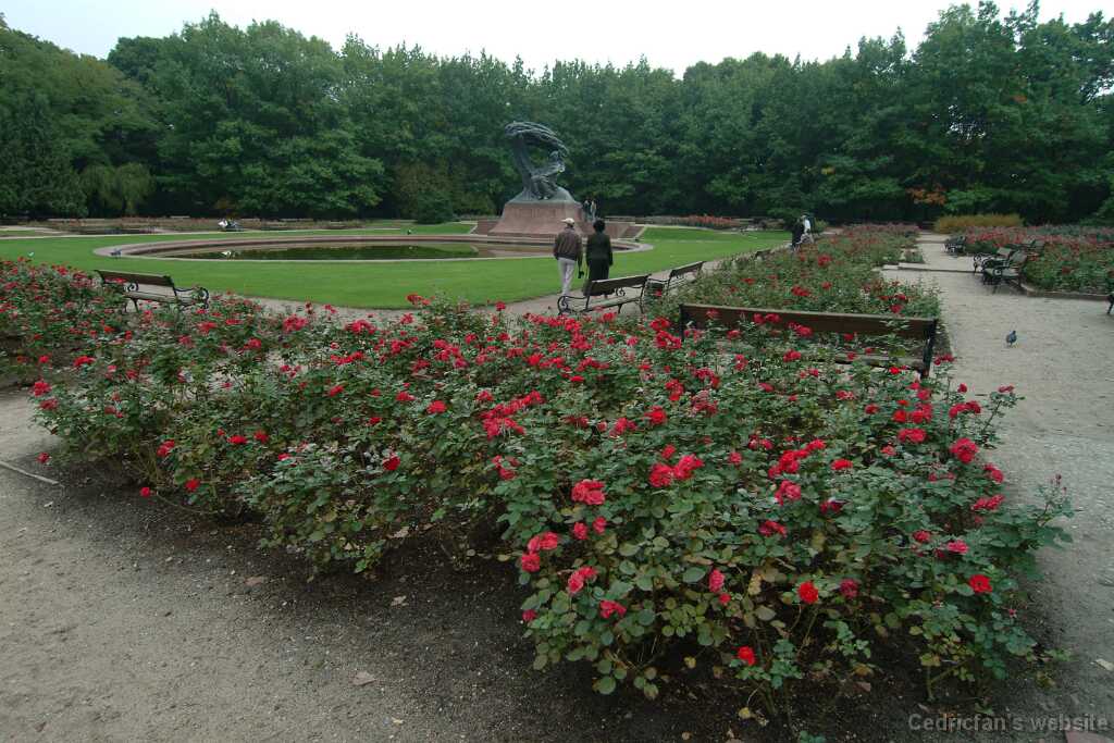 DSCF0465