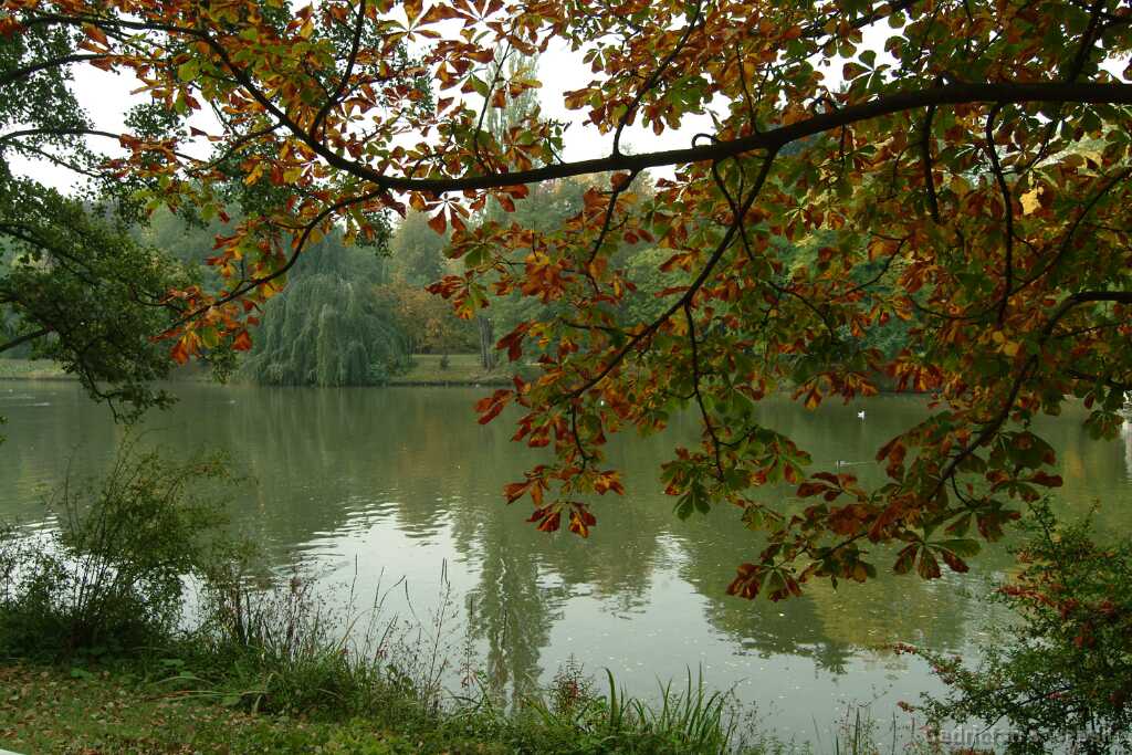 DSCF0477