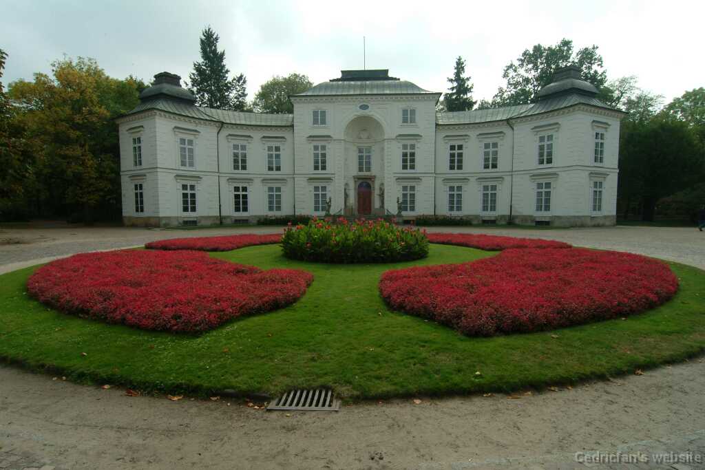 DSCF0482