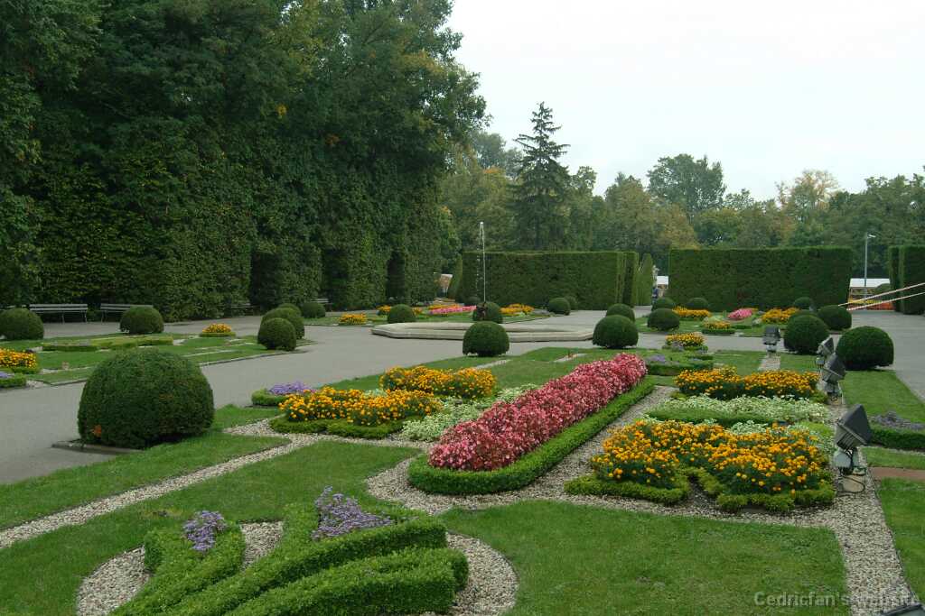 DSCF0497