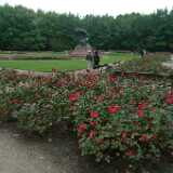 DSCF0465