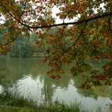 DSCF0477
