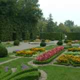 DSCF0497