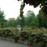 DSCF0499