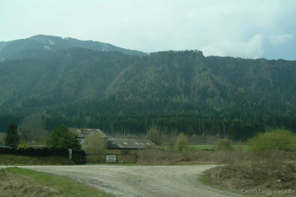 DSCF7884
