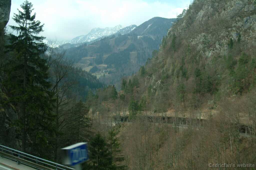 DSCF7885