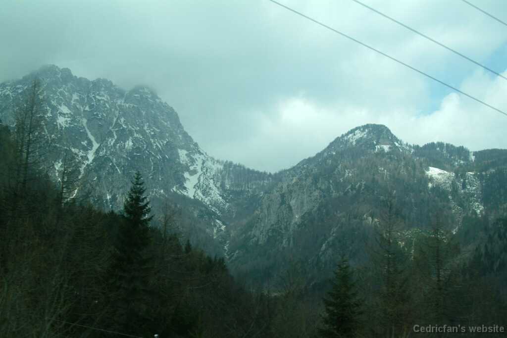 DSCF7893