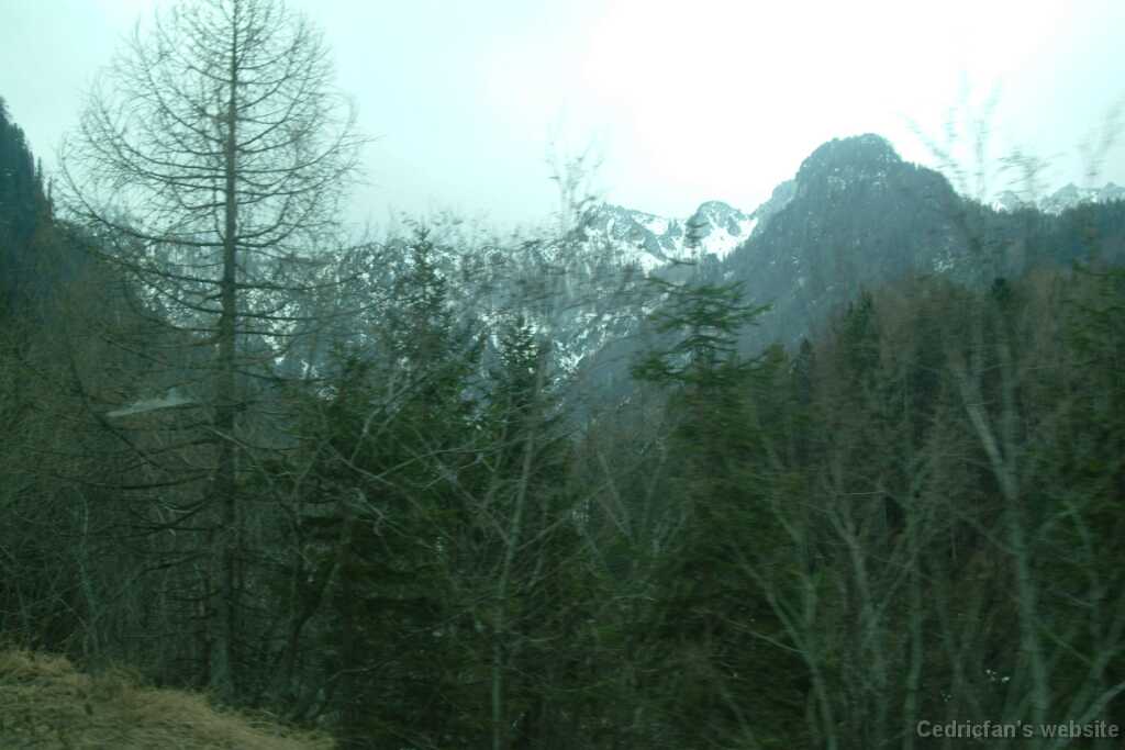 DSCF7895
